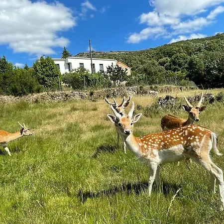 Apartamento Quinta Do Borges 2 Guarda