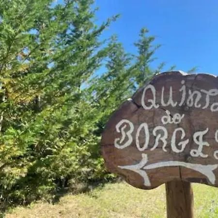 Quinta Do Borges 2 Apartamento