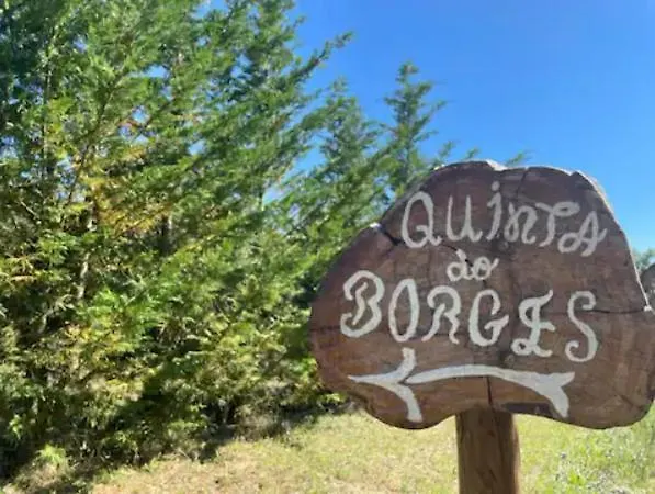 Quinta Do Borges 2 Апартаменты