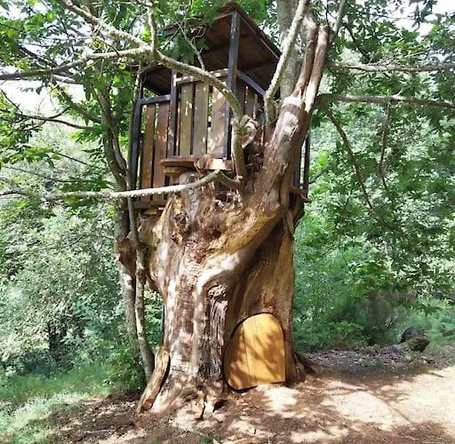 Quinta Do Borges 2 アパート *