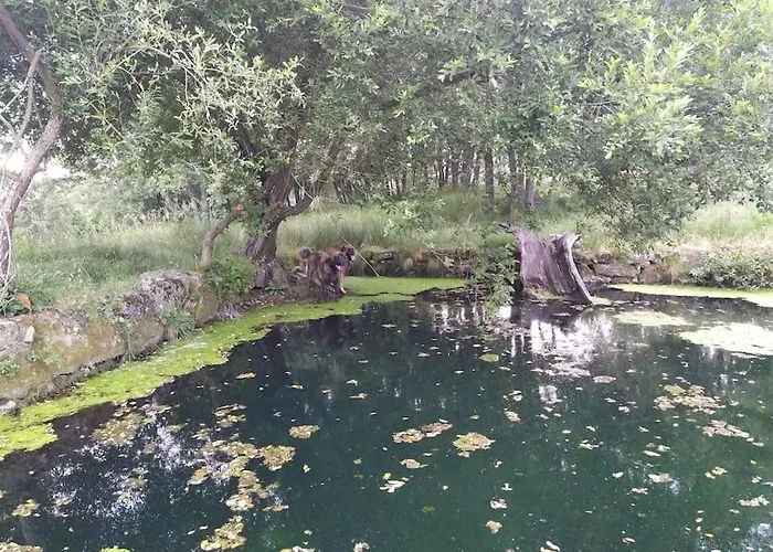 Quinta Do Borges 2 Apartamento *